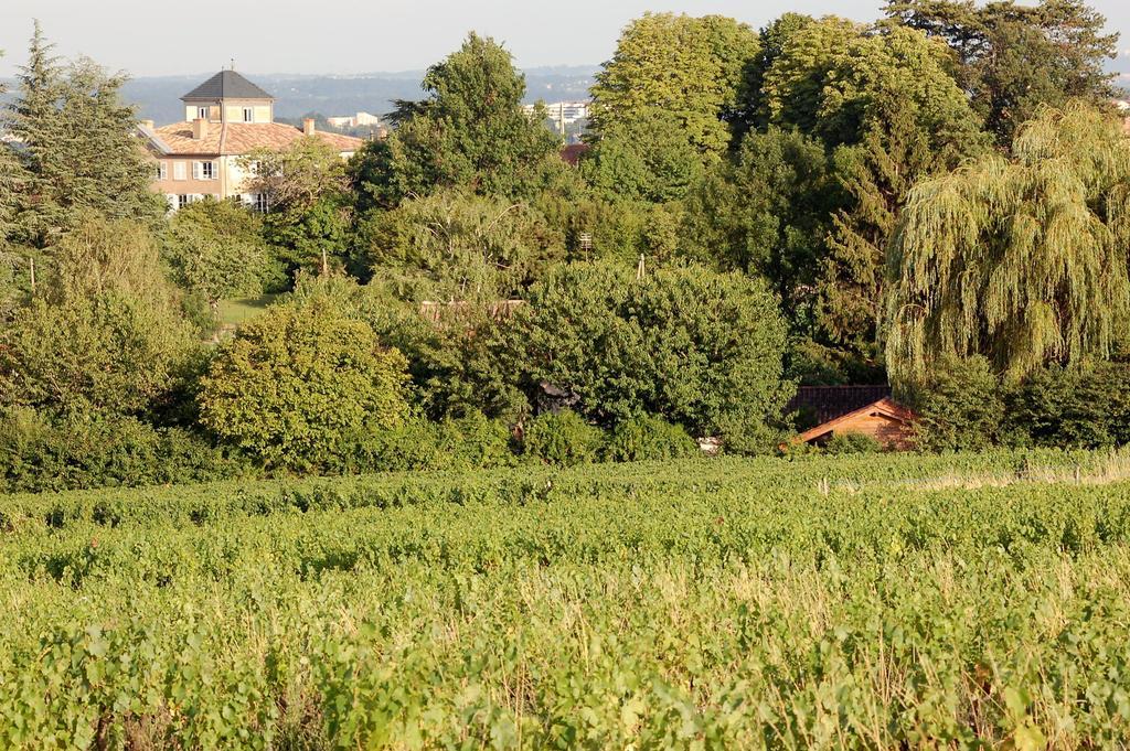 Le Montellier Panzió Blacé Kültér fotó