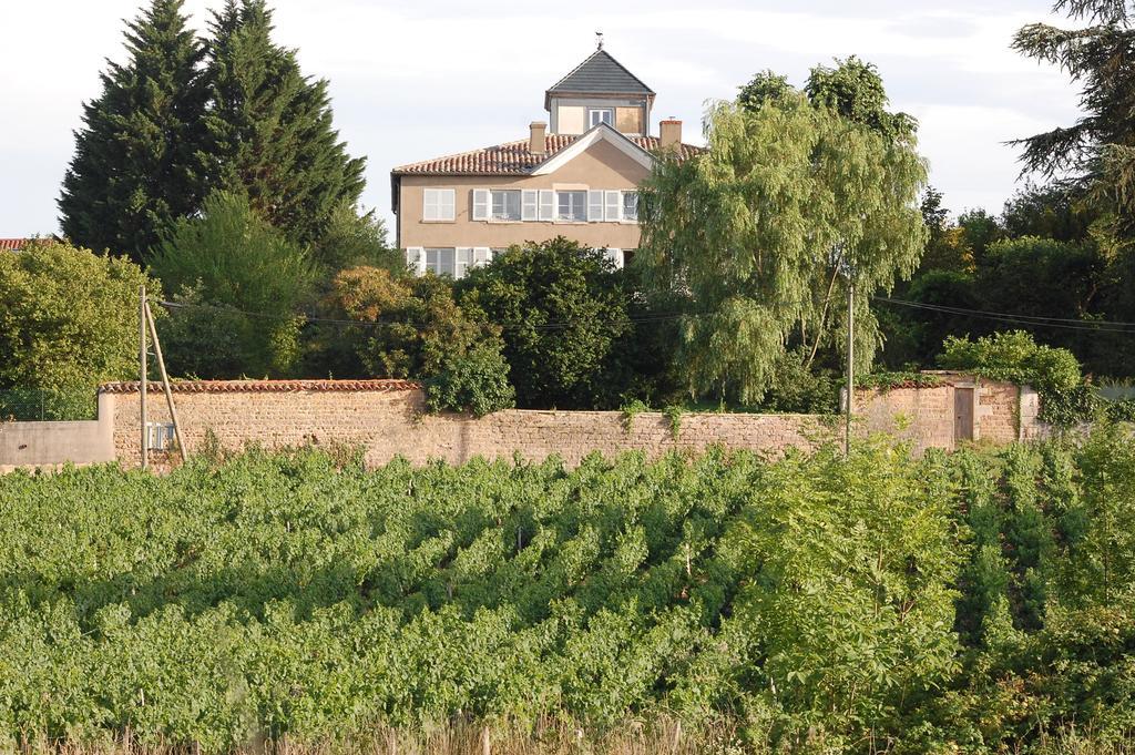 Le Montellier Panzió Blacé Kültér fotó